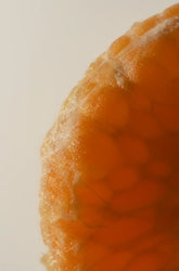 Citrus Blossom 50 ml Perfume Oil Dropper